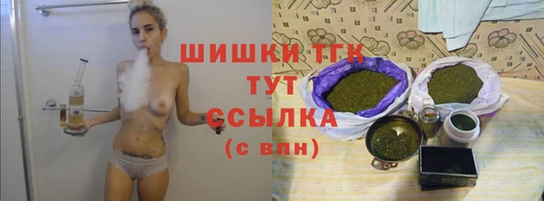 тгк Новозыбков