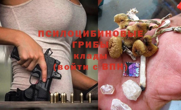 прущие грибы Новодвинск