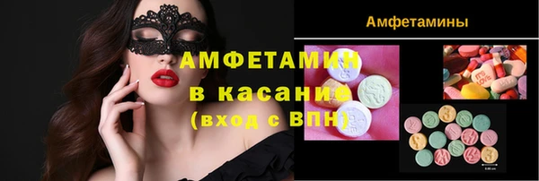ГАЛЛЮЦИНОГЕННЫЕ ГРИБЫ Богданович