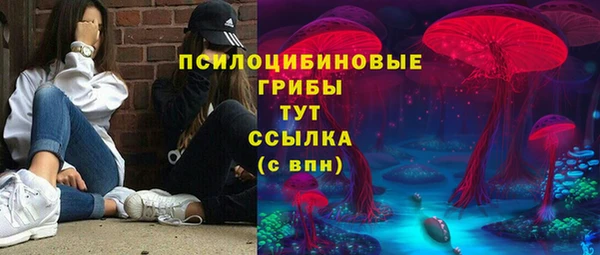 стафф Нягань