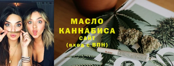 индика Нязепетровск
