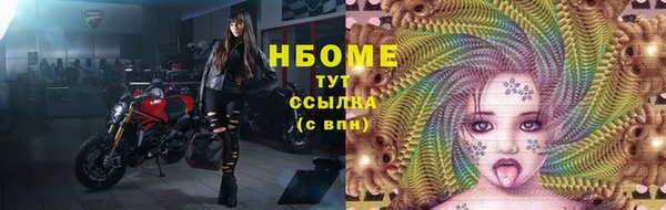 прущие грибы Новодвинск